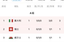 开云平台-包含意大利豪取六分轻松出线,领跑小组的词条