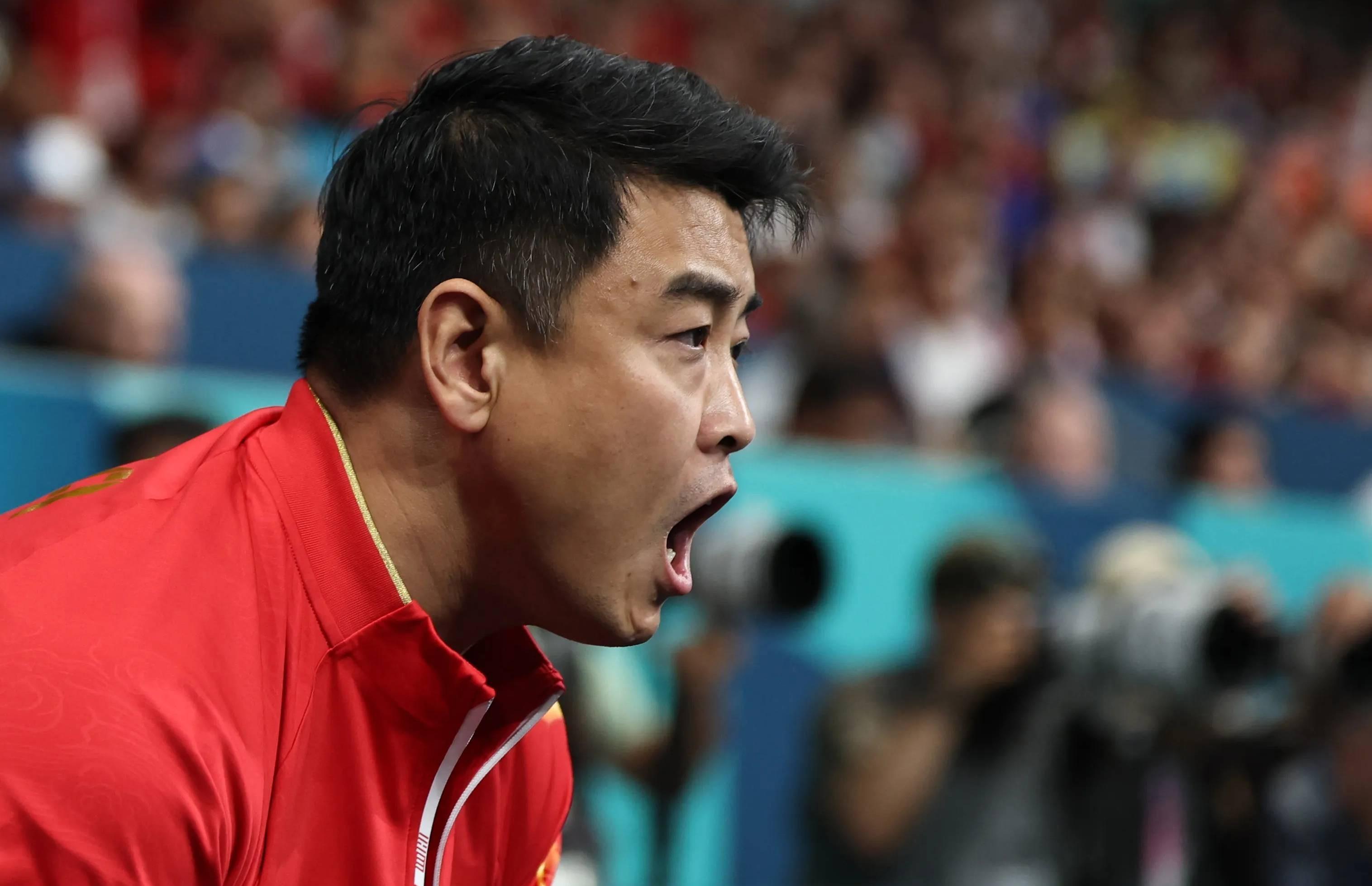 日本乒乓球队横扫法国乒乓球队，王皓爆发神勇的简单介绍